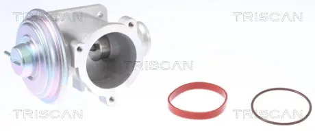 Клапан рециркуляції відпрацьованих газів BMW 1/3/5/7 2.0-3.0D 03-12 Triscan 881311003