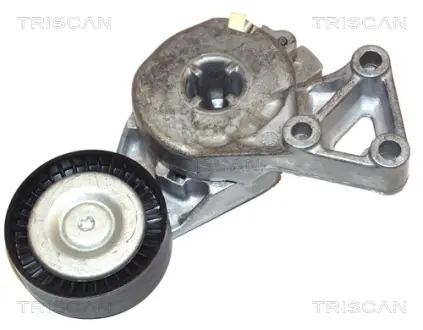 Натяжной ролик Triscan 8641293003