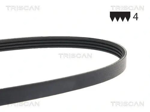 Пасок поліклиновий 4PK870 triscan 8640400868e