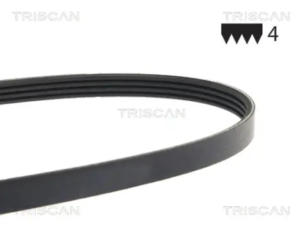Пасок поліклиновий 4PK870 triscan 8640400868e