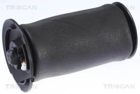 Пневмоподушка підвіски Triscan 872011202