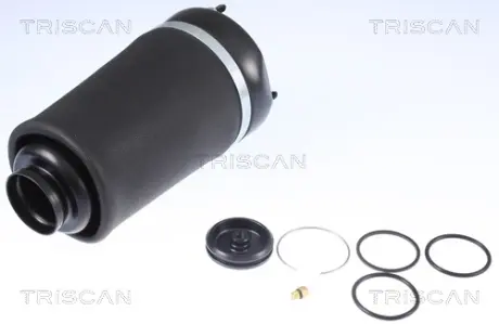 Пневмоподушка підвіски triscan 872023101 Мерседес Gl x164