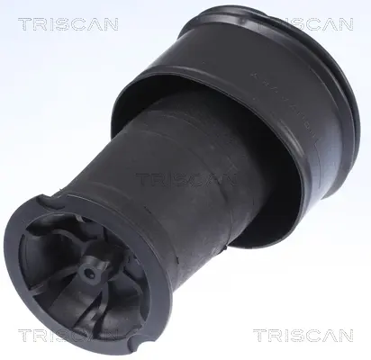 Пневмоподушка підвіски Triscan 872038201 (фото 1)