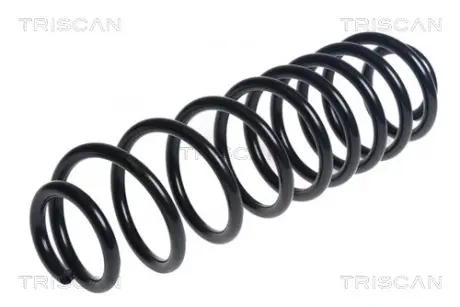 Задня пружина Triscan 875016155