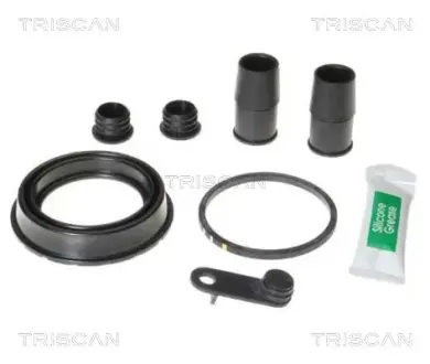 Ремкомплект гальмівного супорта Triscan 8170205472