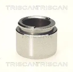 Ремкомплект гальмівного супорта Triscan 8170233803