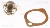Термостат 92°C Ford Escort 1.8 i 16V 92-95/1.6 i 16V 95-99/Focus 2.0 i 16V 02-04/Mondeo 1.6 i 16V 93-96/Scorpio 2.9 i 24V 91-94 Triscan 86205791 (фото 1)