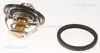 Термостат Opel Astra G 2.2 16V 00-05 Triscan 862013882 (фото 1)
