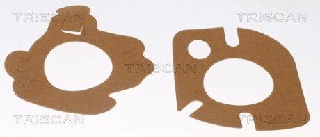 Термостат triscan 862010282