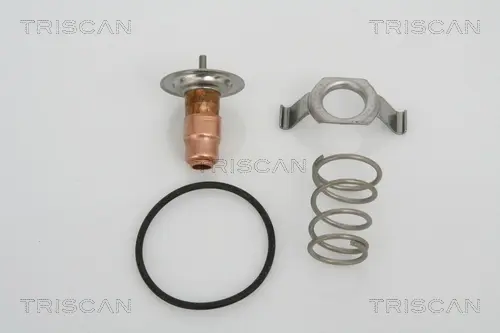 Термостат triscan 862013487