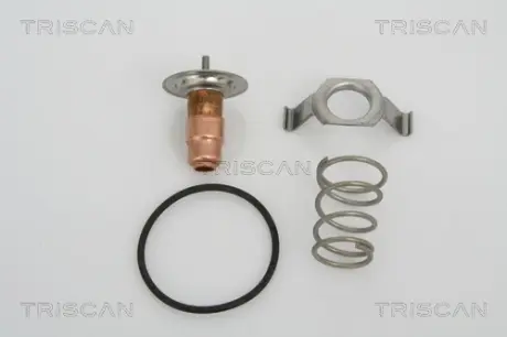 Термостат Triscan 862013487