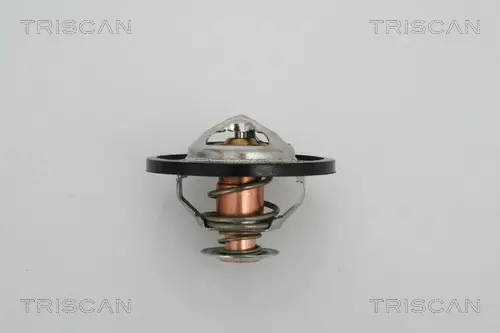 Термостат triscan 862013591