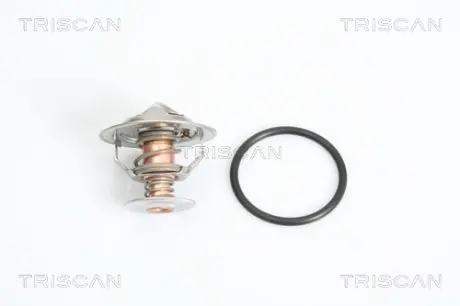 Термостат triscan 862023482
