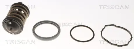 Термостат Triscan 862033380