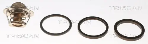 Термостат Triscan 86203982 (фото 1)