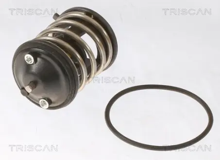 Термостат triscan 862043287