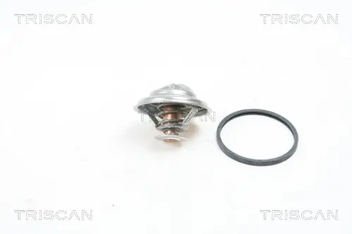 Термостат Triscan 86205180 (фото 1)