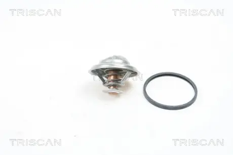 Термостат Triscan 86205180