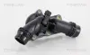 Термостат в корпусі BMW 3/5/7 X3, X5 2.0/2.3/2.5/2.8/3.0i 98 Triscan 862017397 (фото 1)