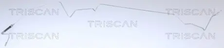Гальмівний шланг Triscan 815025231