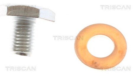 (з шайбою) Корок масляного піддона M10x1.25/ L 13 triscan 95001010 на Фиат Дукато 230