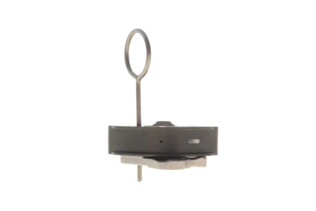 Натяжний пристрій, ланцюг привода trucktec Automotive 0212304