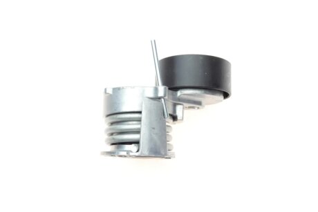 Натяжник поліклинового ременя trucktec Automotive 0819254