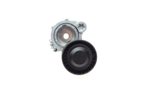 Натяжник поліклинового ременя trucktec Automotive 0819254