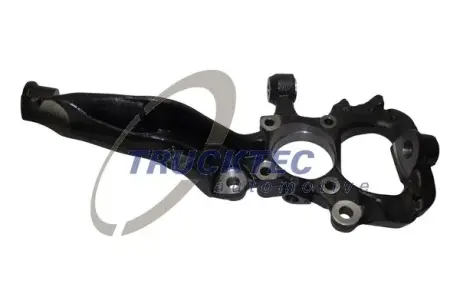 Цапфа (поворотний кулак) Trucktec Automotive 2231028