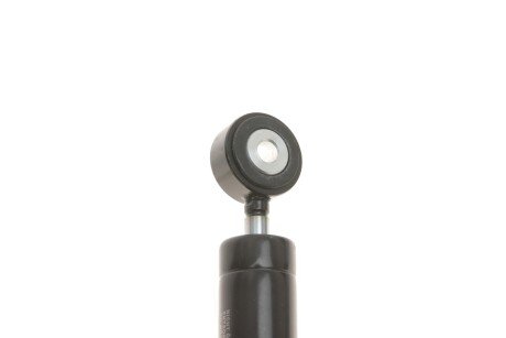 Амортизатор натяжителя trucktec Automotive 0219022