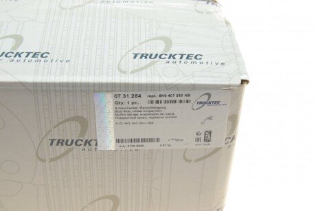 Цапфа (поворотный кулак) trucktec Automotive 0731284