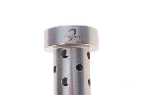 Клапан регулювання фаз газорозподілу trucktec Automotive 0212269