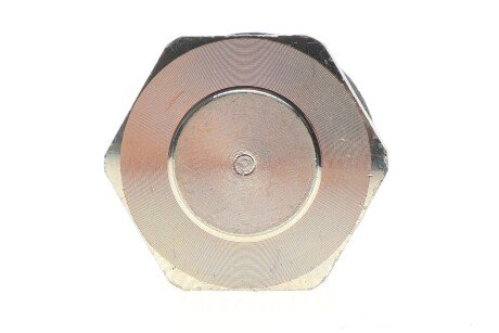 Натяжитель цепи trucktec Automotive 0212181