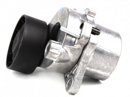 Натяжитель ремня trucktec Automotive 0219010