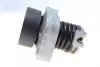 Натяжитель ремня trucktec automotive 0219276