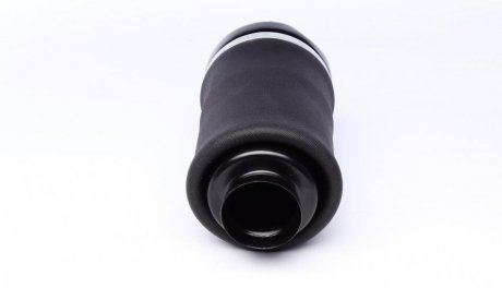 Подушка пневматическая передняя, GL (X164), ML (W164) 06-12 trucktec Automotive 0230291