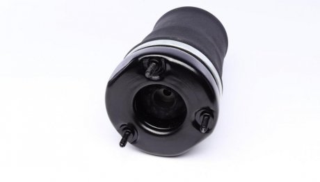 Подушка пневматическая передняя, GL (X164), ML (W164) 06-12 trucktec Automotive 0230291