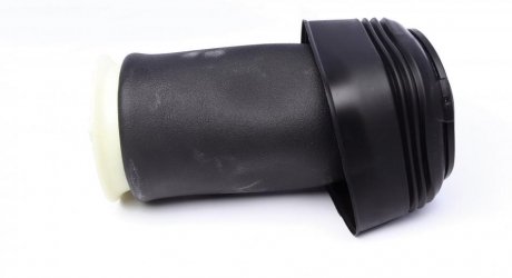 Подушка пневматична задня, BMW X5 (E70), X6 (E71) 06-14 trucktec Automotive 0830049