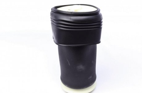 Подушка пневматична задня, BMW X5 (E70), X6 (E71) 06-14 trucktec Automotive 0830049