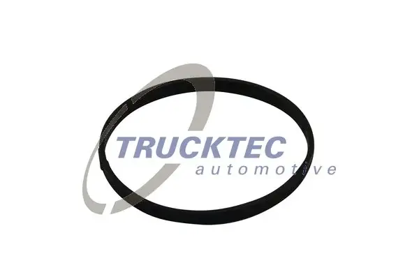 Прокладка дроссельной Trucktec Automotive 02.14.174 (фото 1)