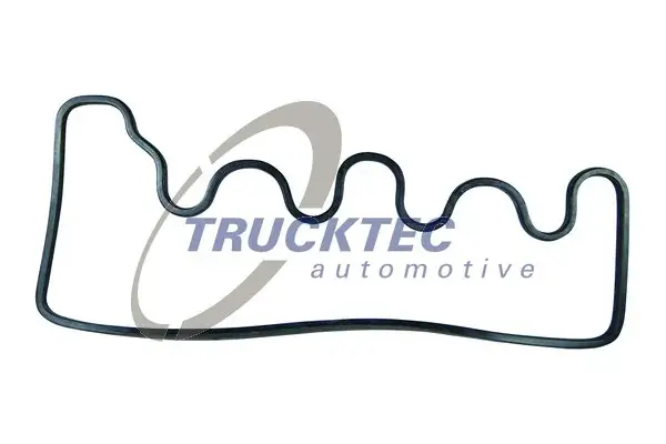 Прокладка клап. крышки, OM616 2.4D DB207-407 Trucktec Automotive 02.10.018 (фото 1)