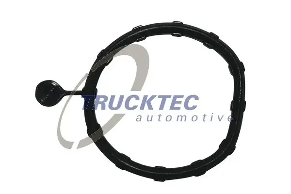 Прокладка системы Trucktec Automotive 02.19.346 (фото 1)