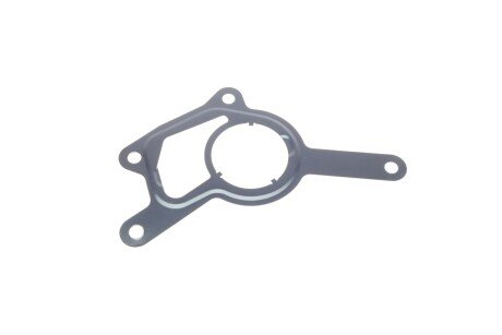 Прокладка вакуумного насоса trucktec Automotive 0221010