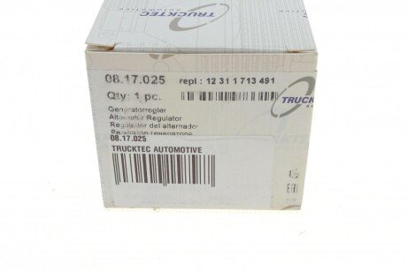 Реле-регулятор напряжения генератора trucktec Automotive 0817025