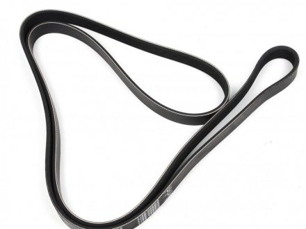 Привідний ремінь генератора trucktec Automotive 0219169