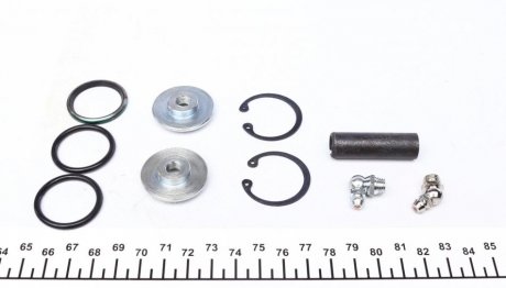 Шкворня, DB407-510 (на втулках) trucktec Automotive 0243289