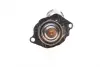 Термостат trucktec automotive 0219298