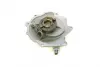 Вакуумный насос trucktec automotive 0236058