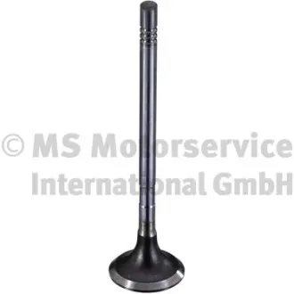 Клапан ГБЦ TRW automotive 189003