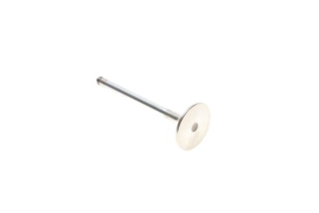 Клапан ГБЦ trw automotive 26024